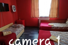 camera1_0