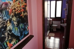 camera2_1
